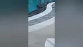 Bursa'da sıcaktan bunalan güvercinlerin havu...
