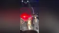Hadise Bursa'da sahne şovuyla nefes kesti!