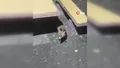 Bursa'da beklenmedik ziyaret! Vatandaşların ...