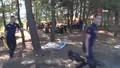 Turistleri taşıyan otobüs şarampole uçtu: Öl...