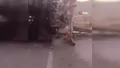 Bursa Uludağ yolunda vinç devrildi! Sürücü h...