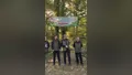 Asırlık meşelerin geleceği Bursa'da şekillen...