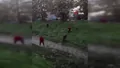 Bursa'da kayıp alarmı! Dere yatağına kadar a...