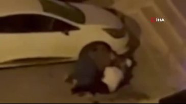 Adana'da evden kaçan pitbull dehşet saçtı: Sahibini ve 2 kişiyi yaraladı