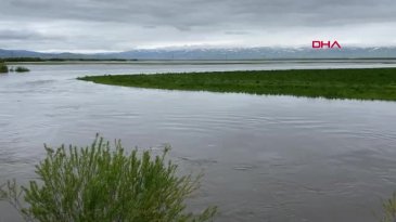 Ardahan'da Kura Nehri taştı