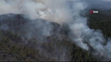 Bursa'daki orman yangını havadan görüntülendi -2