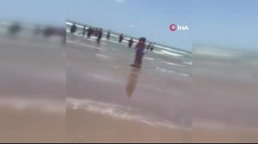 Halk plajında köpek balığı saldırısı: 2'si ağır 4 kişi yaralandı