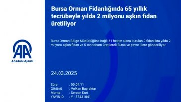 Bursa&nbsp;Orman Fidanlığında 65 yıllık tecrübeyle yılda 2 milyonu aşkın fidan üretiliyor