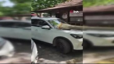 Bursa'da öğretmenevinde korkutan anlar!