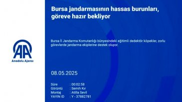 Bursa jandarmasının hassas burunları, göreve hazır bekliyor