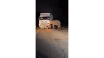 Gecenin karanlığında kahreden görüntü!
