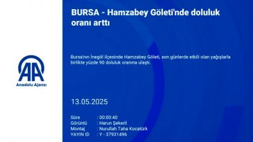 Bursa'da yüzleri güldüren görüntü! Yüzde yüze çıkabilir