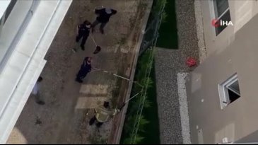 Bursa'da ortaya çıkmaya başladılar! Deprem habercisi mi?