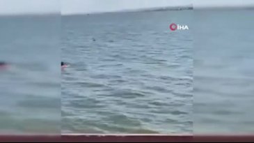 'Kurtuldum' diye bağırıp kendini göle attı