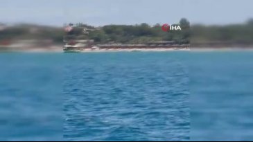 Akdeniz foku görüntülendi, turistler hayretler içinde izledi
