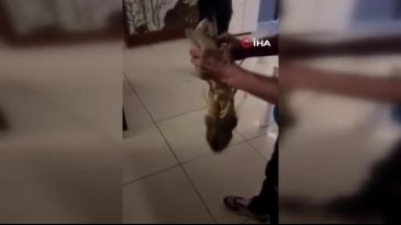 Bursa'nın denizinde bereket var! Yakalananlar arasında en büyüğü