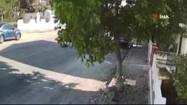 Otobüs şoförü sokak köpeğini ezdi
