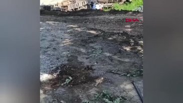 Bursa'da kabus devam ediyor! Dikkat edin 4 mahallede görüldü...