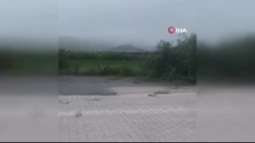 Bursa'da yer yerinden oynadı! Kökünden söküldü...