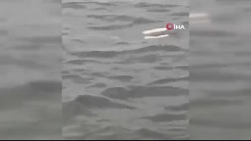 Bursa'da korkunç manzara: Kıyıya ceset vurdu!