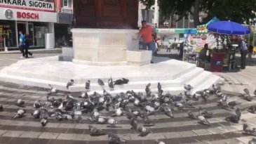 Bursa'nın sıcağında iç serinleten olay! Görenleri tebessüm ettirdi