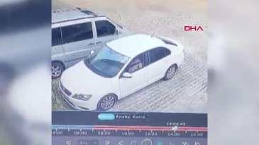Bursa'da yürek dağlayan anlar! Yavrusunun başından ayrılmadı...