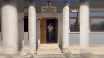 Danla Biliç'i darp etmişti! Serbest bırakıldı