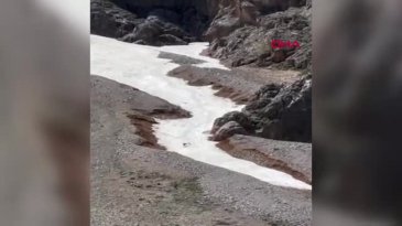 Bozayı yavru dağ keçisini avladı; o anları Bursalı fotoğrafçı görüntüledi