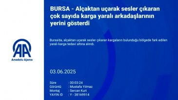 Bursa'da alçaktan uçtular! Vatandaşlar tedirgin oldu: Gerçek ortaya çıktı...