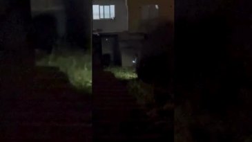 Bursa'da kurbanlık ipini kopardı!
