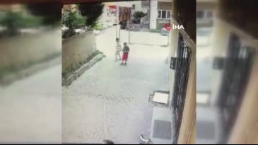 Küçük çocuk Pitbull cinsi köpekten zor kurtuldu