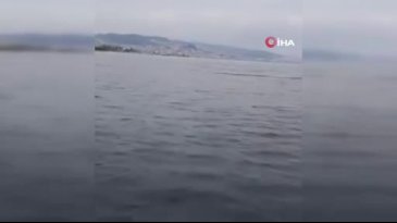 Bursa'da denize açılan gençler beklenmedik bir şeyle karşılaştı!
