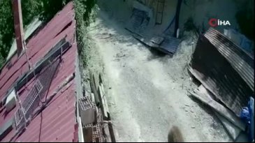 Mahalleye inen ayının rahatlığı kamerada!