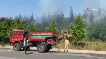 Çanakkale'de orman yangını: Havadan ve karadan müdahale sürüyor