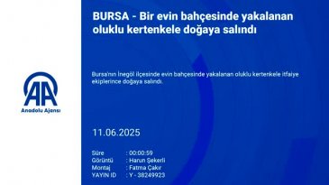 Bursa'da bir evin bahçesinde yakalanan oluklu kertenkele doğaya salındı