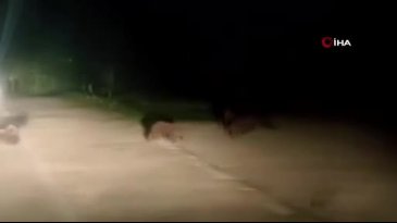 Uludağ'da görüldü! Hemen telefonuna sarıldı
