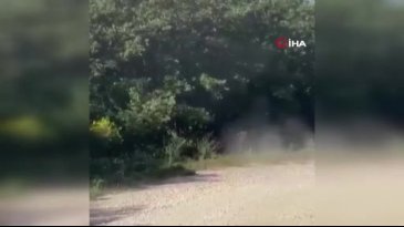 Bursa'da 'bu gerçek mi?' dedirten görüntü! Güreşirken uçurumdan düştüler