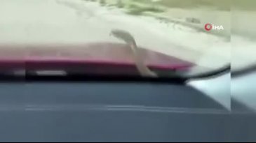 Kabus Türkiye'nin dört bir yanında devam ediyor! Yolculuğu viral oldu