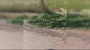 Sokağa attılar! "Bu ne rezilliktir?"