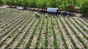 Elmas değerinde! Bursa'dan 4 ülkeye ihracat