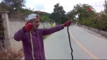 Yılanları elleriyle yakalayıp düğüm atan adam şoke etti