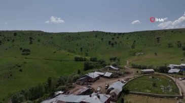 Çöpe gidiyordu: Şimdi kilosu 3 bin TL'den satılıyor