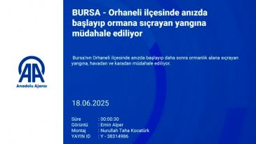 Bursa'nın ciğerleri yanıyor! Bir orman yangını daha...