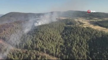 Bursa'da yangın sonrası yemyeşil orman küle döndü!