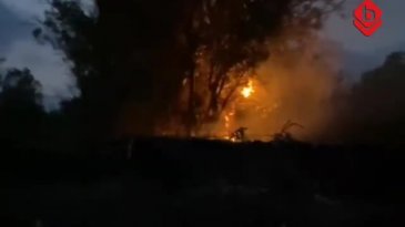 Bursa'da bir yangın daha!