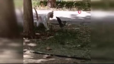 Ezber bozan görüntüler! Bu kez tam tersi oldu...