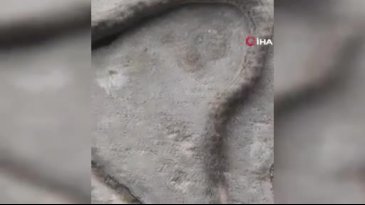 Ender görülüyor! Vatandaşlar tedirgin...
