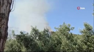 Bursa'da çıkan orman yangınına havadan karadan müdahale!