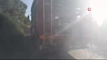 Bursa'da karga ortalığı karıştırdı!