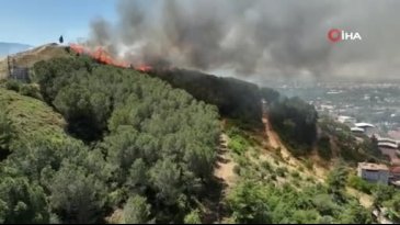 Bursa'da koca bir mahalle tahliye ediliyor! Alevler dört bir yanı sardı...